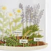 image Plants in Cloche Get Well Card Fifth Alternate Image width=&quot;1000&quot; height=&quot;1000&quot;