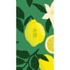 image Lemon Fresh Academic 2027 2 Year Pocket Planner