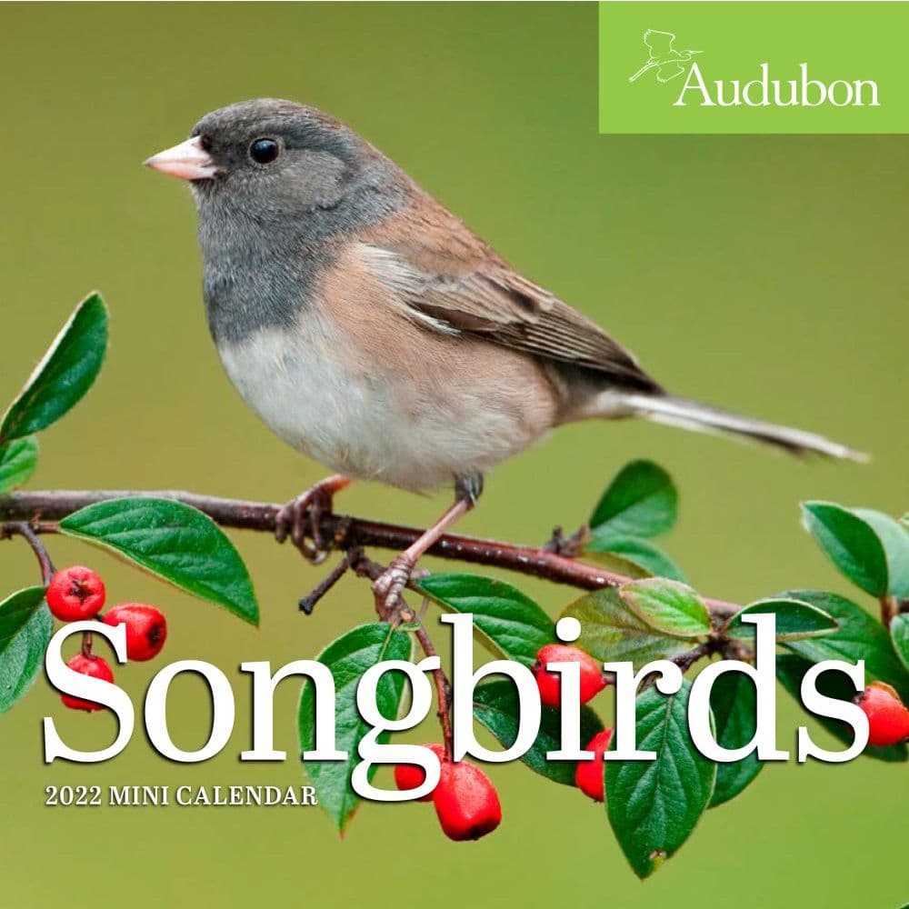 Audubon Songbirds 2022 Mini Wall Calendar