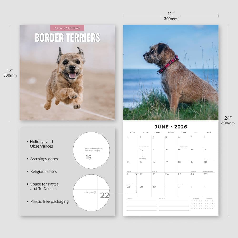 Border Terriers 2026 Wall Calendar Fourth  Alternate Image