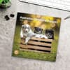image Australian Shepherd Puppies 2024 Wall Calendar
