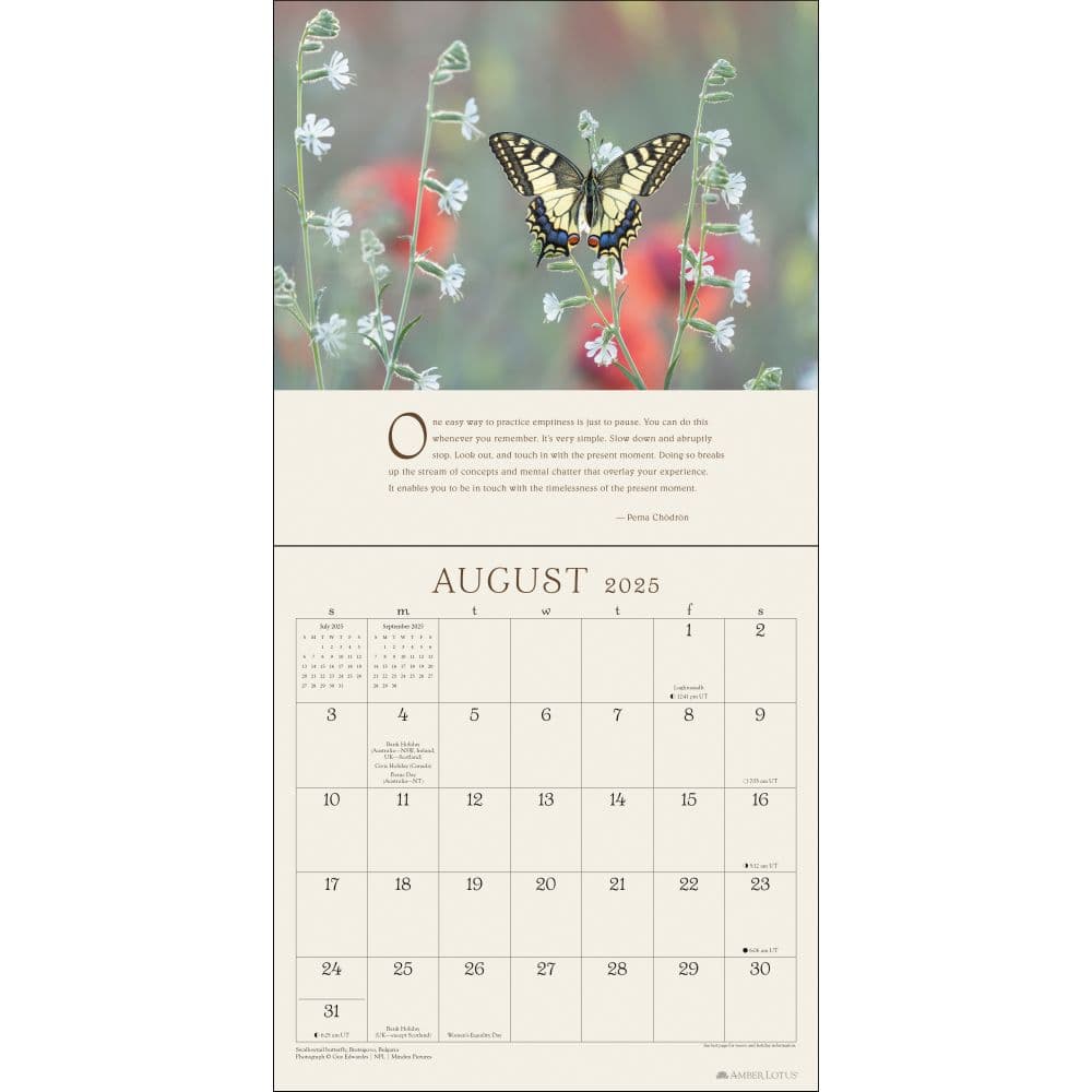 Pema Chodron 2025 Wall Calendar
