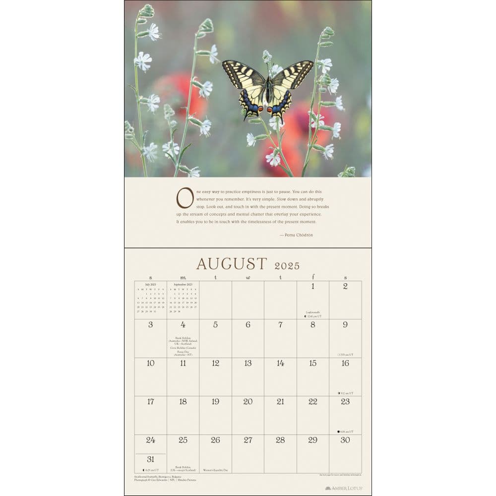 Pema Chodron 2025 Wall Calendar Second Alternate