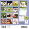 image Playful Puppies 2026 Mini Wall Calendar First Alternate Image