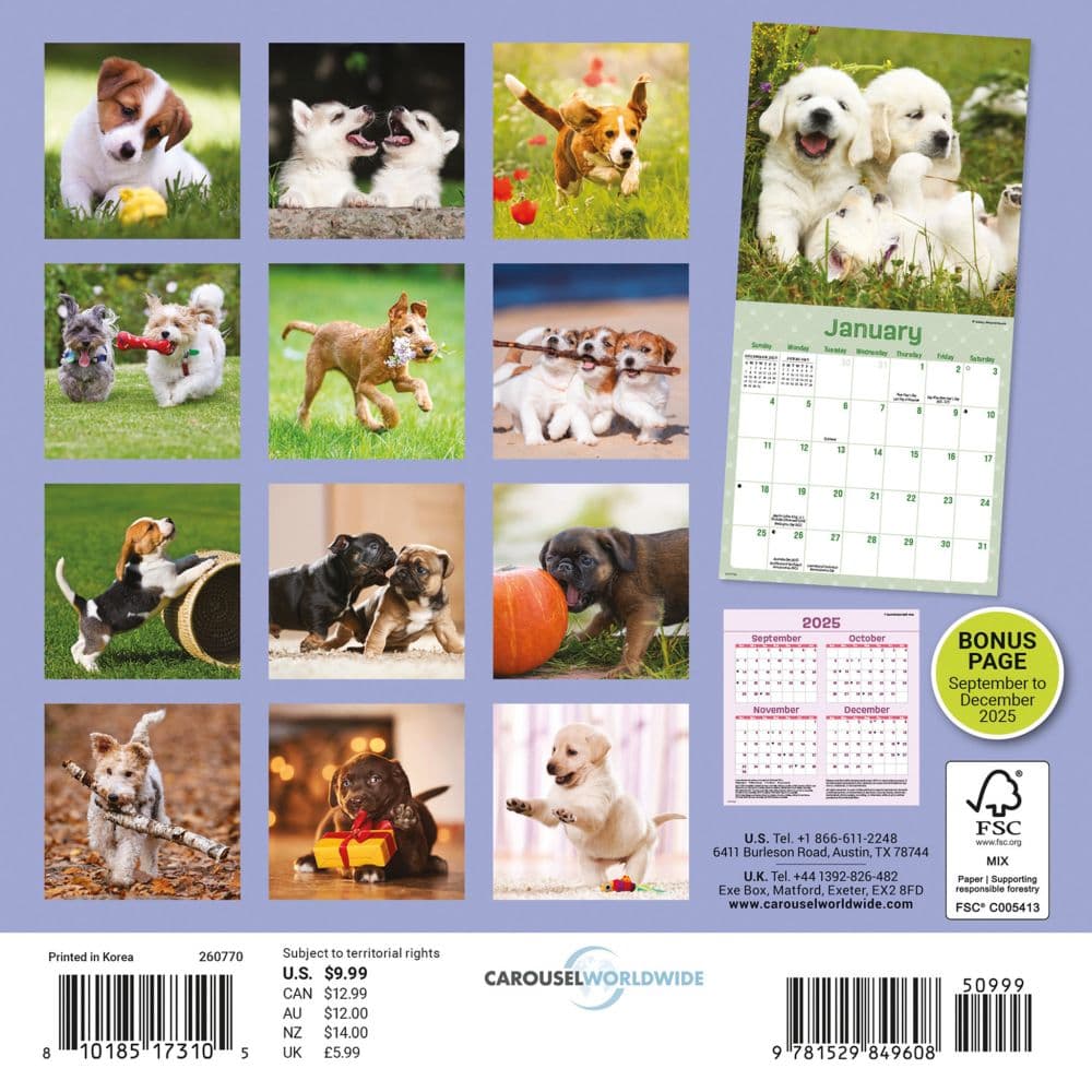 Playful Puppies 2026 Mini Wall Calendar First Alternate Image