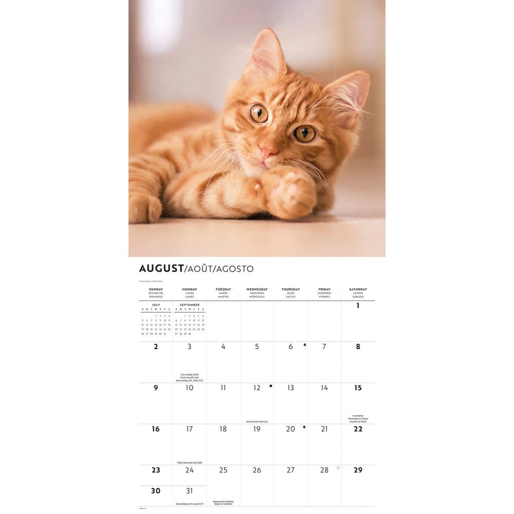 Ginger Cats 2026 Wall Calendar Third Alternate Image
