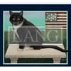 image American Cat 2024 Desktop Wallpaper