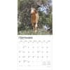 image Goats in Trees 2025 Wall Calendar Third Alternate Image