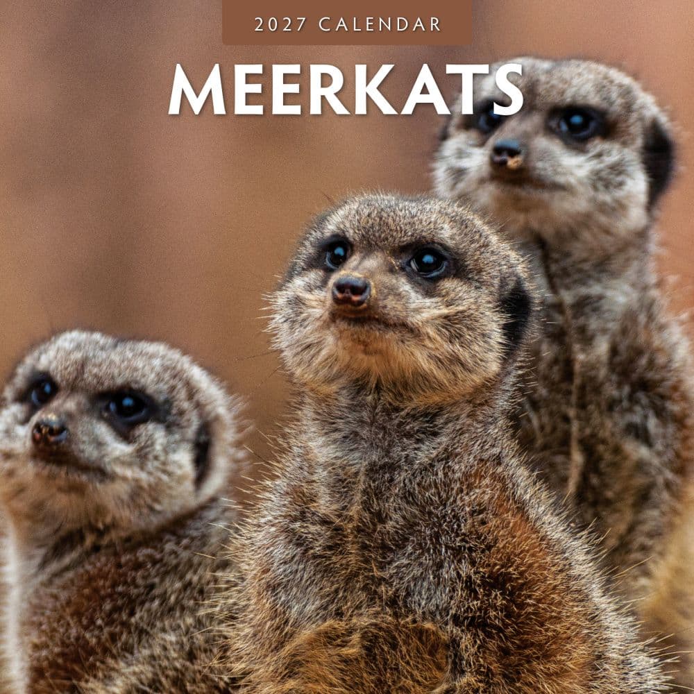 Meerkats 2027 Wall Calendar Main Product Image