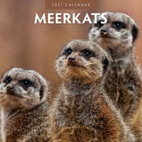 image Meerkats 2027 Wall Calendar Main Product Image