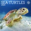 image Sea Turtles 2024 Mini Wall Calendar