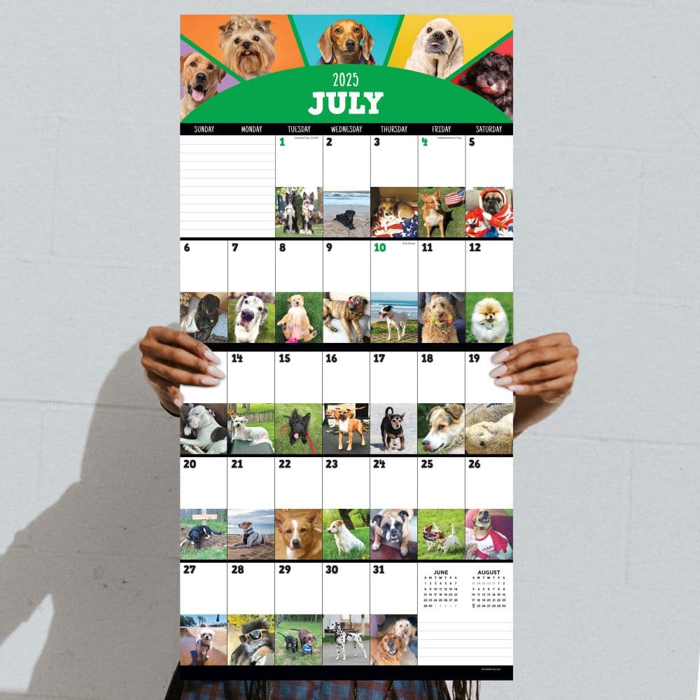 Dog A Day 2025 Wall Calendar Fourth Alternate Image