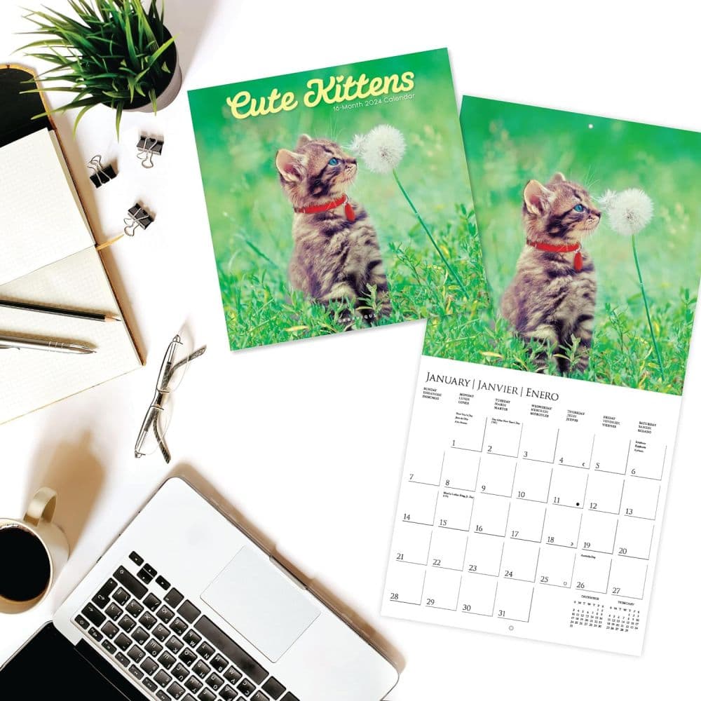 Kittens Cute ASPCA 2024 Wall Calendar - Calendars.com