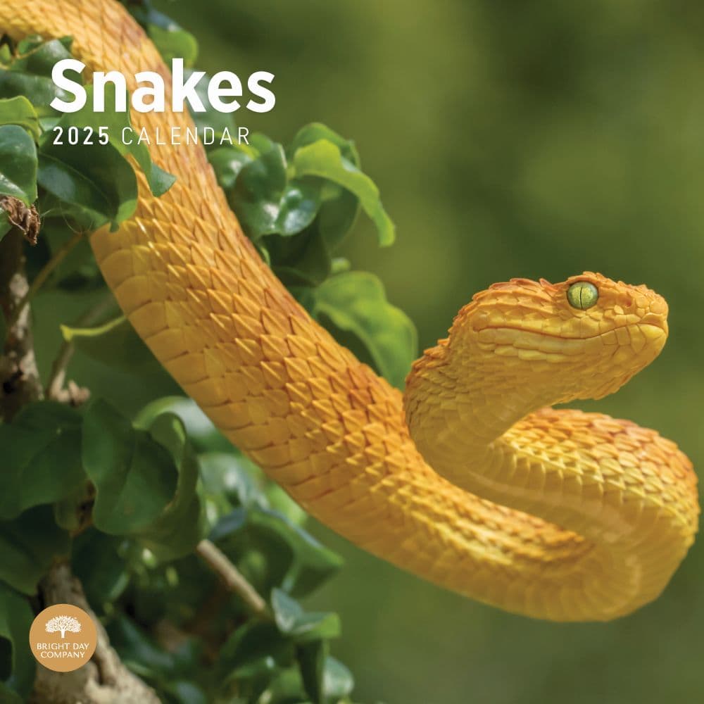 Snakes 2025 Wall Calendar Main Image