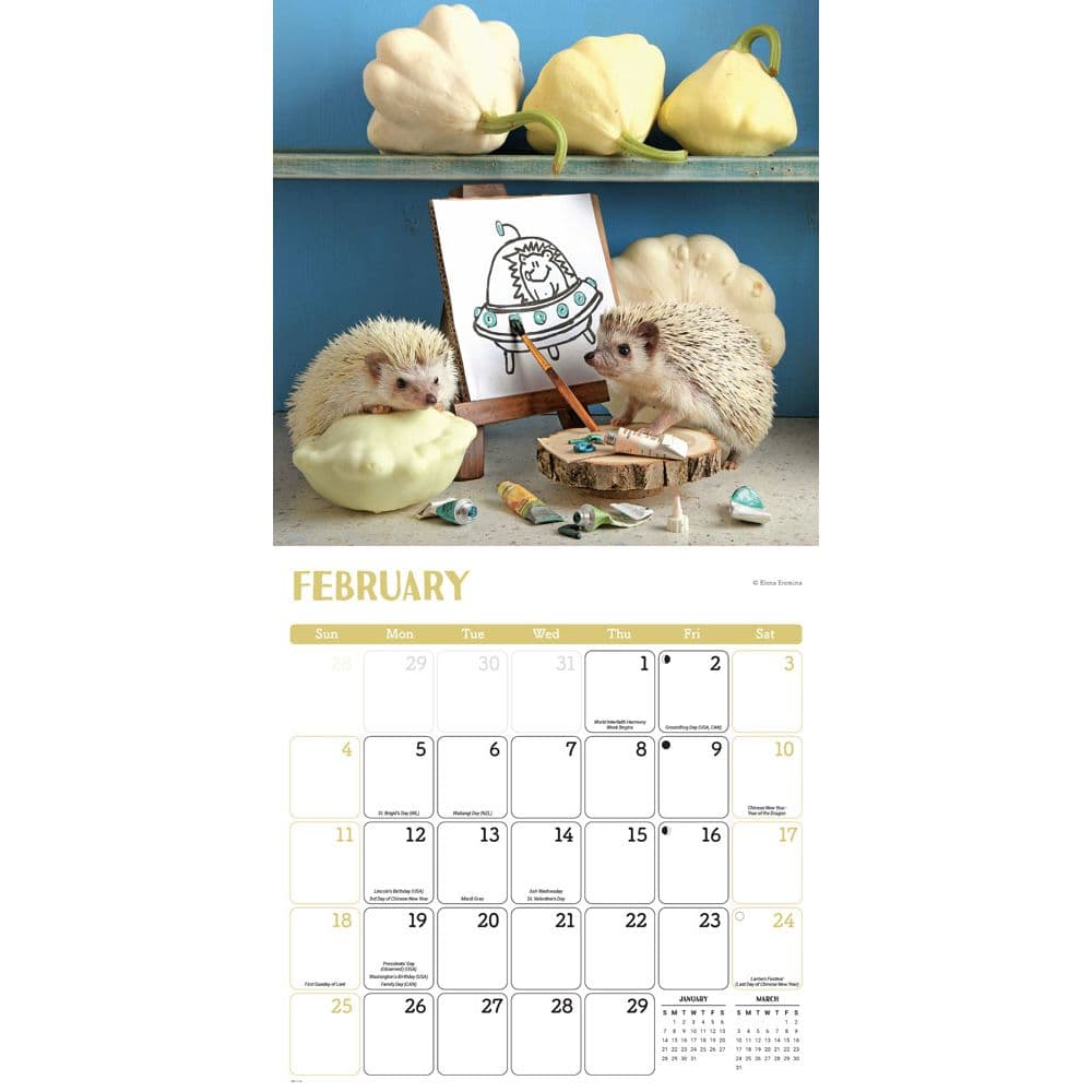 Hedgehogs! 2024 Wall Calendar