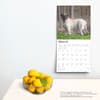 image Mastiffs 2025 Wall Calendar Fourth Alternate Image width=&quot;1000&quot; height=&quot;1000&quot;