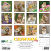 image Chipmunks Gone Nuts 2025 Wall Calendar First Alternate Image width=&quot;1000&quot; height=&quot;1000&quot;