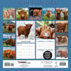 image Highland Cows Photo 2026 Wall Calendar