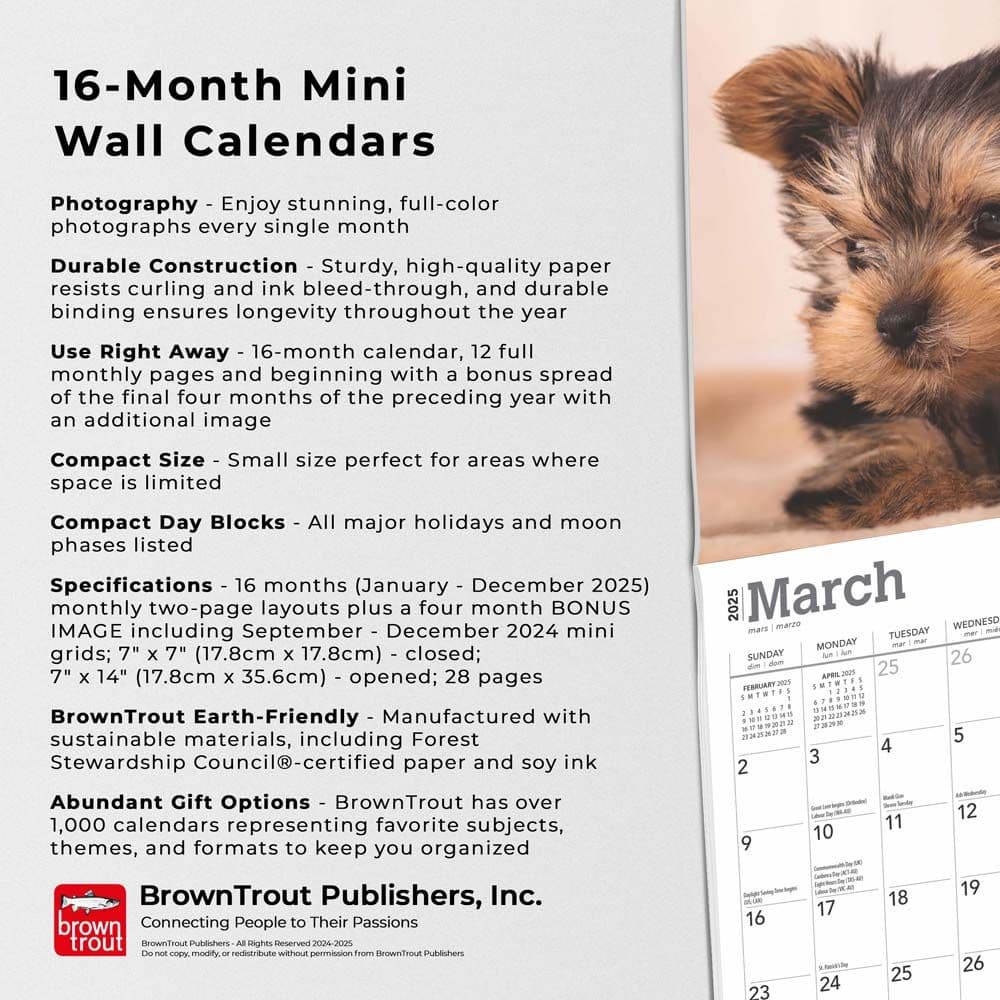 Yorkshire Terrier Puppies 2025 Mini Wall Calendar Fifth Alternate Image width=&quot;1000&quot; height=&quot;1000&quot;