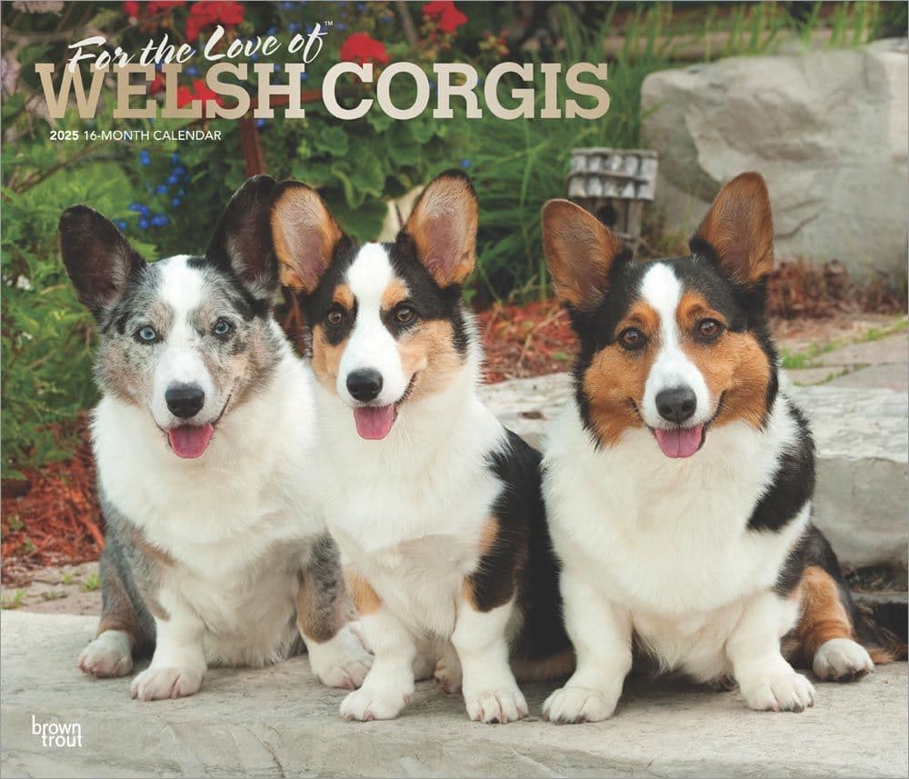 Welsh Corgis Deluxe 2025 Wall Calendar