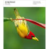 image Audubon Nature Gallery 2025 Page-a-Day Desk Calendar