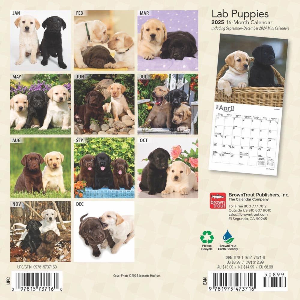 Black Labrador Retriever Puppies | 2025 7 x 14 Inch Monthly