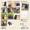 image Lab Retriever Puppies 2025 Mini Wall Calendar First Alternate Image width=&quot;1000&quot; height=&quot;1000&quot;