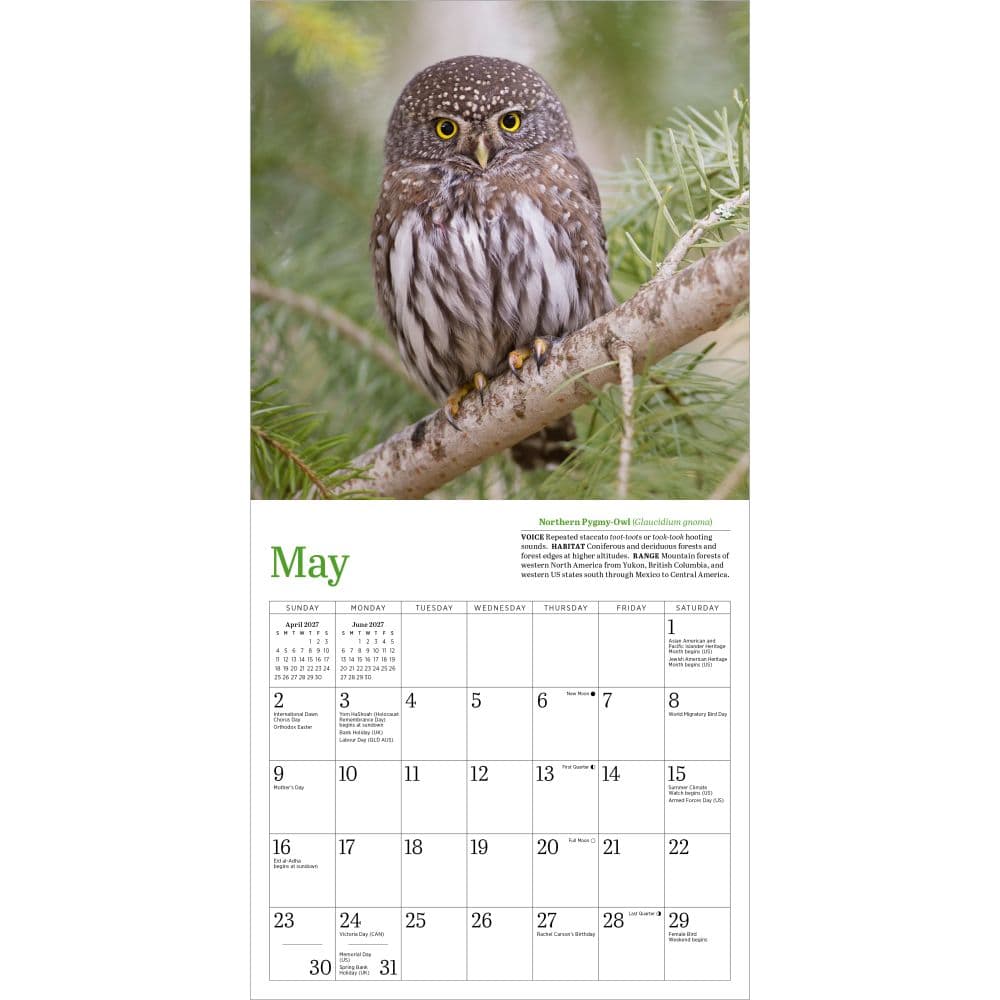 Audubon Little Owls 2027 Mini Wall Calendar Third Alternate Image