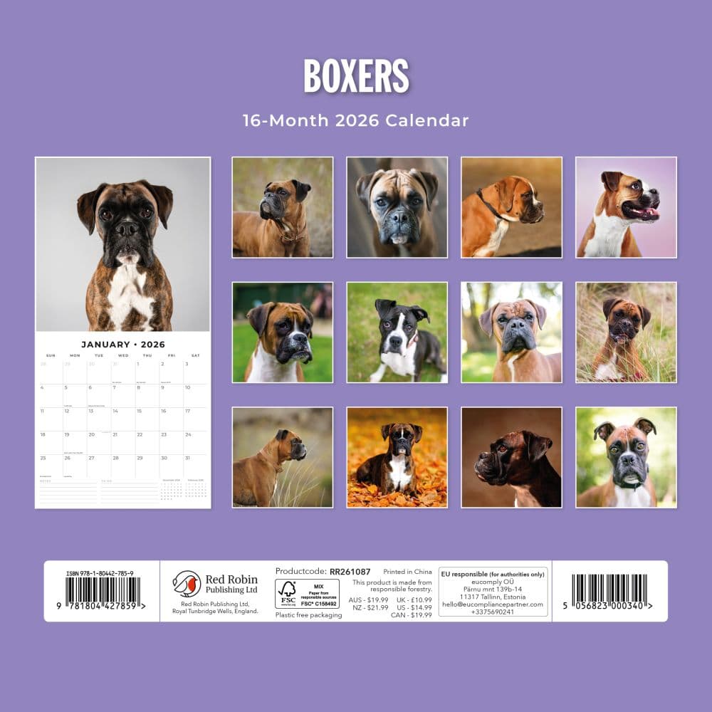 Boxers 2026 Wall Calendar First Alternate Image