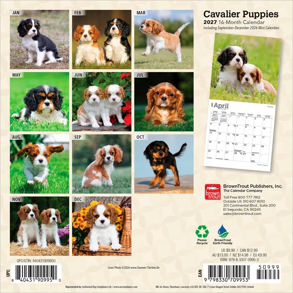 Cavalier King Charles Puppies 2027 Mini Wall Calendar First Alternate Image