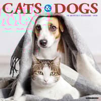 image Cats and Dogs 2026 Wall Calendar  Main Image