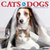 image Cats and Dogs 2026 Wall Calendar  Main Image