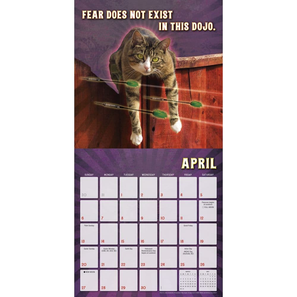 Karate Kat 2025 Wall Calendar Third Alternate Image width=&quot;1000&quot; height=&quot;1000&quot;