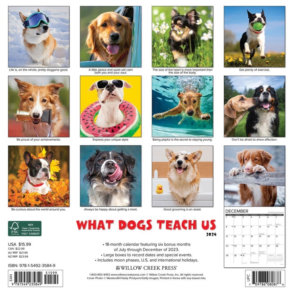 Dogs What Dogs Teach Us 2024 Wall Calendar Alternate Image 1