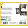 image Cats 2025 Desk Calendar First Alternate Image
