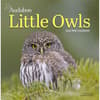 image Audubon Little Owls 2025 Mini Wall Calendar Main Image