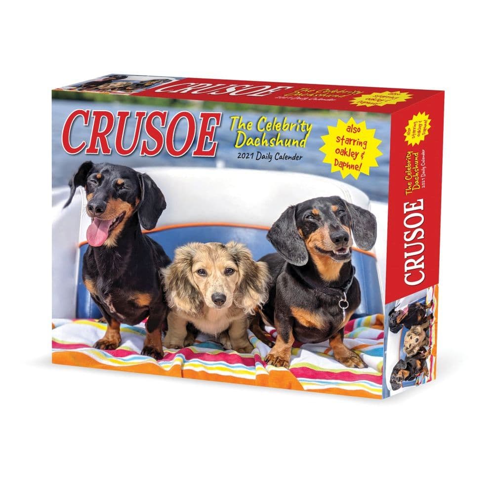 Crusoe the Celebrity Dachshund Desk Calendar - Calendars.com