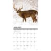 image Whitetail Monarchs 2025 Wall Calendar