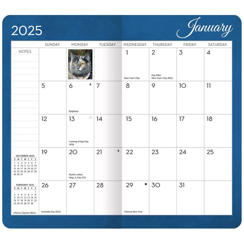 Love of Cats 2025 2 Year Pocket Planner by Persis Clayton Weirs_ALT1