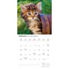 image Kittens Cute 2025 Wall Calendar Second Alternate Image width=&quot;1000&quot; height=&quot;1000&quot;