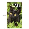 image Cats 2 Year 2025 Pocket Planner Seventh Alternate Image width="1000" height="1000"