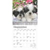 image Shih Tzu Puppies 2025 Mini Wall Calendar