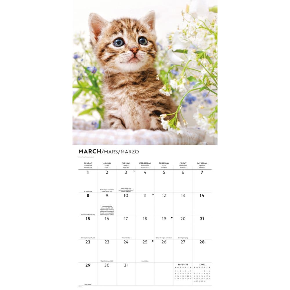 Kittens Cute 2026 Wall Calendar Second Alternate Image