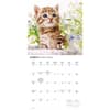 image Kittens Cute 2026 Wall Calendar Second Alternate Image