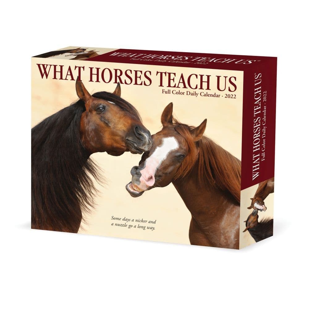 What Horses Teach Us 2022 Desk Calendar