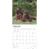 image American Cocker Spaniels 2025 Wall Calendar