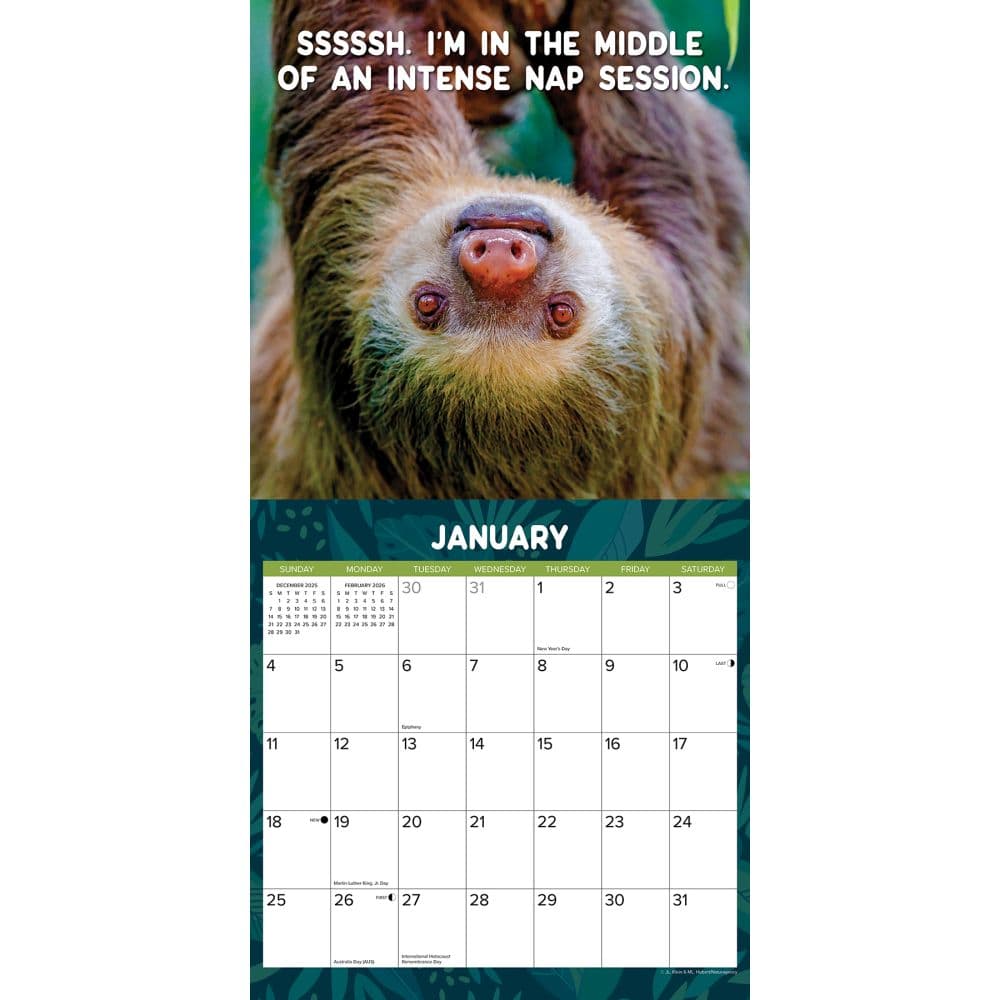 Sloth Mode 2026 Wall Calendar Second Alternate Image