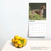 image German Shorthaired Pointers 2025 Wall Calendar Fourth Alternate Image width=&quot;1000&quot; height=&quot;1000&quot;