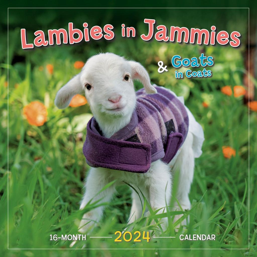 Lambies in Jammies 2024 Wall Calendar - Calendars.com