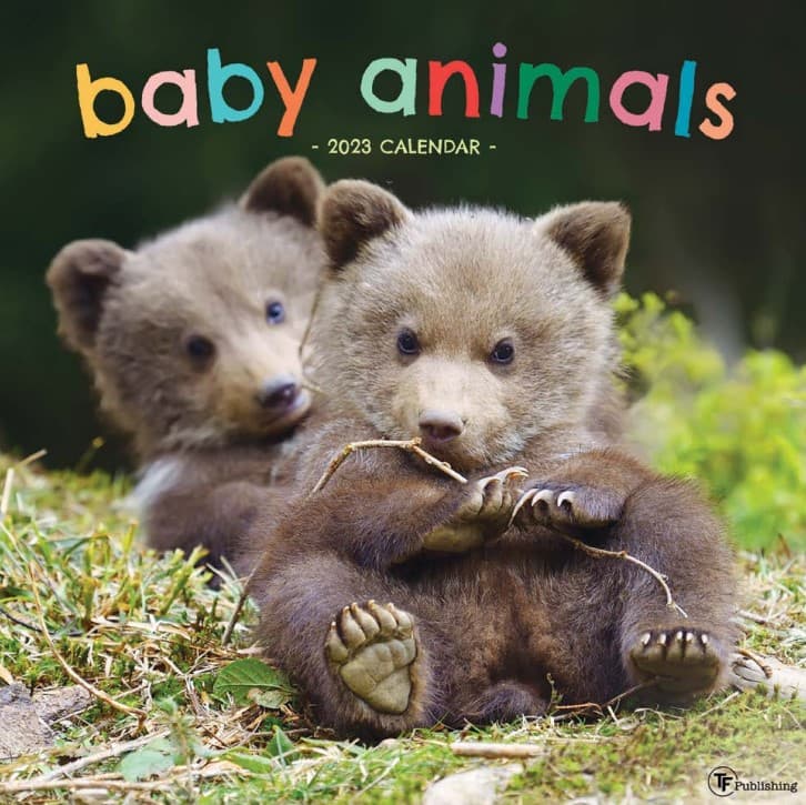 TF Publishing Baby Animals 2023 Wall Calendar